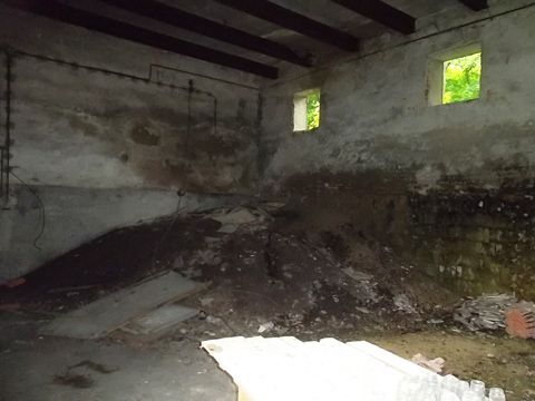 Foto 101